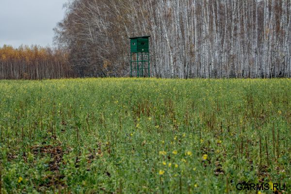 Охота на косулю октябрь 2016 г. (Курганская область)