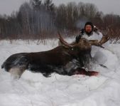 Охота на лося декабрь 2016 г. (Челябинская область)