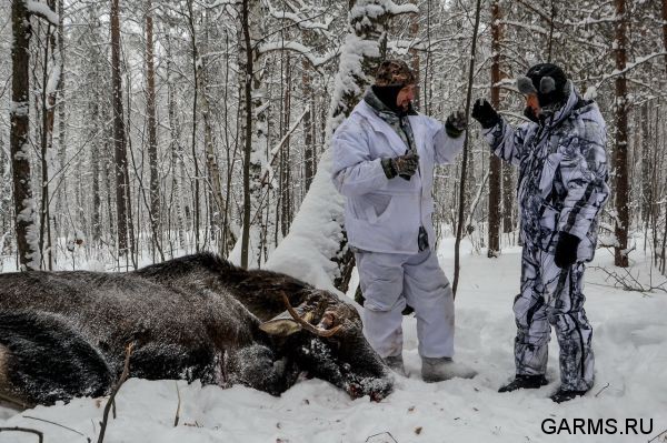 Охота на лося декабрь 2016 г. (Челябинская область)