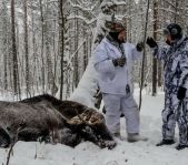 Охота на лося декабрь 2016 г. (Челябинская область)