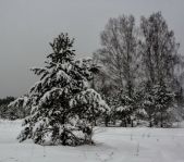 Охота на лося декабрь 2016 г. (Челябинская область)