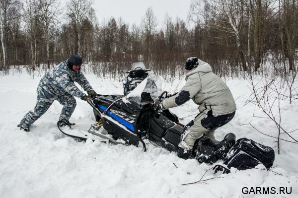 Охота на лисицу февраль 2017 г.(Свердловская область)
