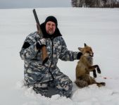 Охота на лисицу февраль 2017 г.(Свердловская область)