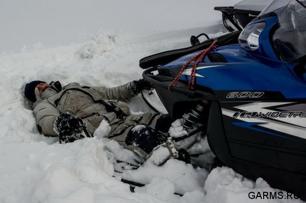 Охота на лисицу февраль 2017 г.(Свердловская область)