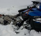 Охота на лисицу февраль 2017 г.(Свердловская область)