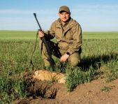Охота на сурка июль 2019 г.(Челябинская область)