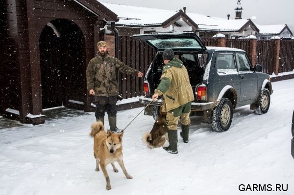Открытие зимней охоты ноябрь 2019 г. (Челябинская область)