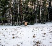 Открытие зимней охоты ноябрь 2019 г. (Челябинская область)