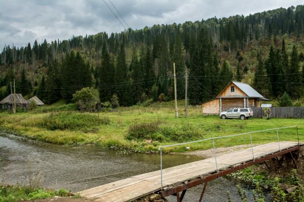Осенняя охота август-октябрь 2020 г.