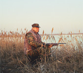 Ждем, когда полетят