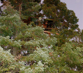 Высота 8 метров..