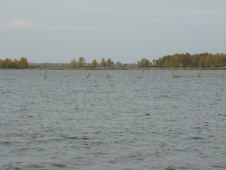 Рыбалка в Свердловской области была организована незаконно