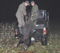 В Челябинской области с 1 июня открывается охота на кабана