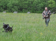 Сроки открытия охоты в Нижегородской области на болотно-луговую дичь в летне-осенний период 2011 года