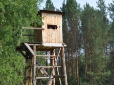 Сроки открытия осенней охоты в Челябинской области в сезон 2011-2012 года