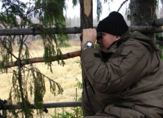 Пермский край: охота на барсука, кабана и медведя разрешена