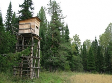 Сроки открытия осенней охоты 2011 в Свердловской области