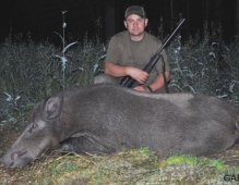 В Ленинградской области открыта осенняя охота