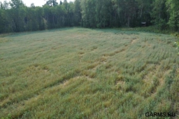 В Иркутской области введен запрет охоты на многие виды животных