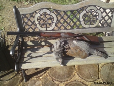 В Мурманской области начали выдавать лицензии на охоту