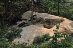 Сроки открытия охоты в Алтайском крае