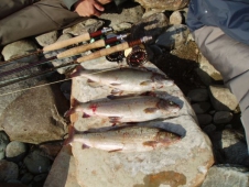 В России ловить рыбу бесплатно смогут инвалиды и пенсионеры