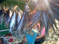 Рыбакам будет запрещено продавать свой улов без лицензии