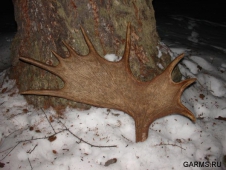 В праздничные дни на Южном Урале охотники будут находиться под присмотром