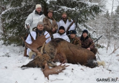 В Амурской области сезон 2011-2012 зимней охоты на лося закончился
