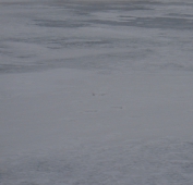 Любителей зимней рыбалки застала врасплох трещина на льду