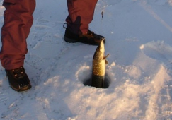 Этап фестиваля «Народная рыбалка – 2012» «Ледяная рыбка» на Черновском водохранилище