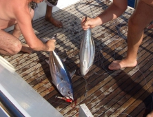В Египте пропал русский турист – во время рыбалки его с яхты смыло волной в море
