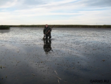В Калмыкии запрещается весенняя охота 2012 на водоплавающую дичь