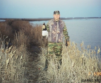 Сроки весенней охоты 2012 в Приморском крае на селезней