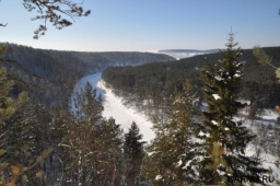 Ролик о незаконных действиях Новосибирских егерей сняли и выложили в Интернет