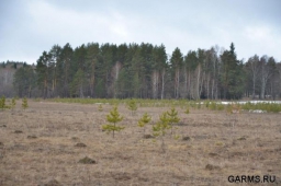 Весенняя охота 2012 в Ростовской области  7-й год подряд запрещена