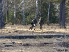 В Краснодарском крае известны сроки открытия весенней охоты 2012