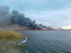 В Забайкалье за сутки площадь лесных пожаров выросла почти в сто раз