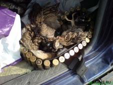 Одесская область: жертвой охоты стал подросток