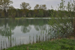 На рыбалке в Ленинградской области с пистолетом?