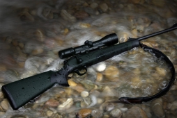 Получить лицензию на оружие теперь станет проще