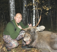 В Тюменской области открыта охота на косулю и лося