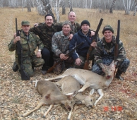 Охота на диких копытных животных открыта в Липецкой области