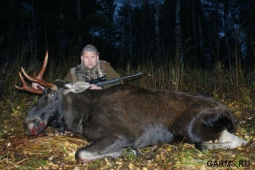 Открытие охоты на лося в Томской области