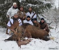 В Челябинской области открылась зимняя охота на лося и косулю