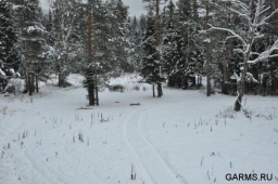 В Челябинской области продолжают искать браконьеров, обстрелявших егерей и полицию