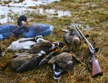 У смоленских браконьеров желание поохотиться перевесило здравый смысл