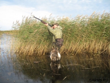 Весенняя охота в Московской области: что получилось?
