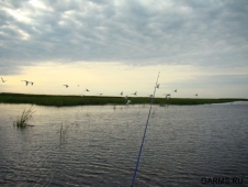Санкт-Петербург и Ленинградская область: сроки запрета рыбалки на весну 2013 года