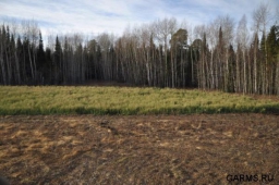 Сроки открытия летне-осенней охоты в 2013 году в Астраханской области